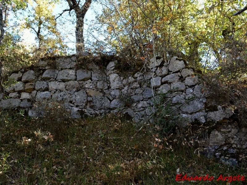 Imagen de Castillo de Urizaharra