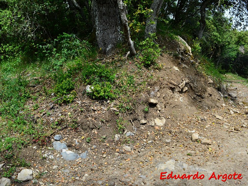 Imagen de Castro de Urrisolo