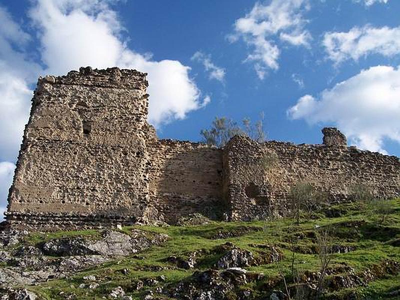 Imagen de Castillo de Cotillas