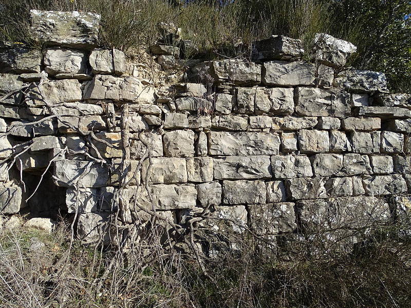 Imagen de Castillo de Montesquiu