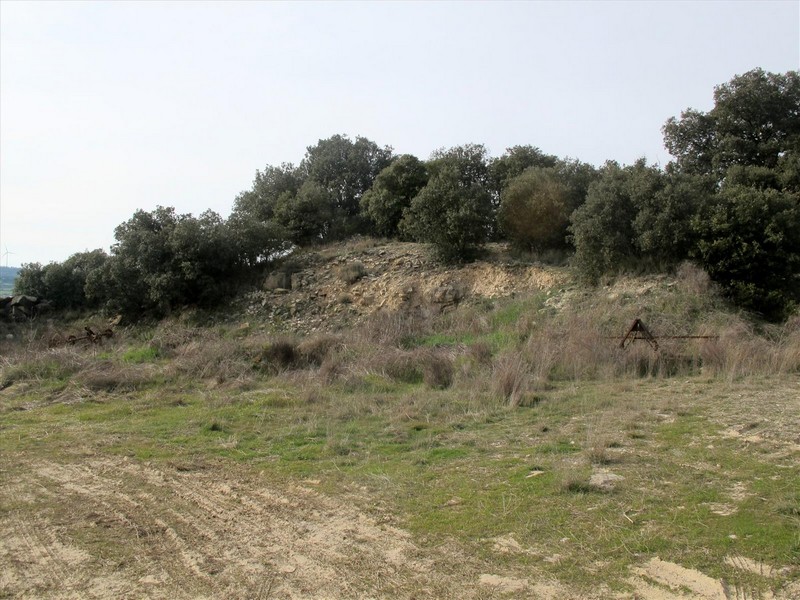 Imagen de Castillo de Vilallonga