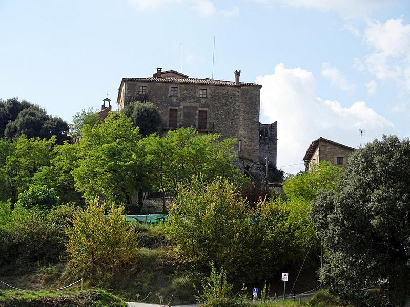 Imagen de Castillo de Savassona
