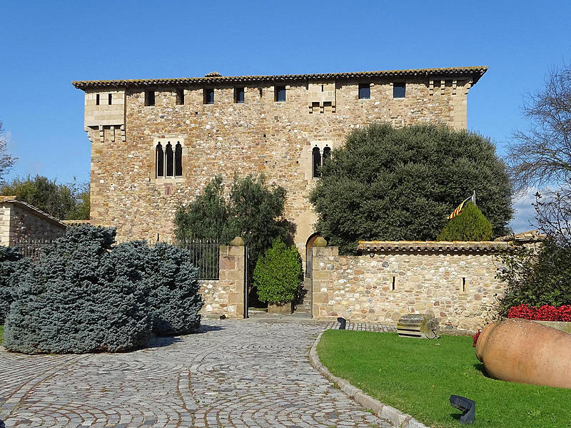 Imagen de Casa fuerte de Mont-Rodon