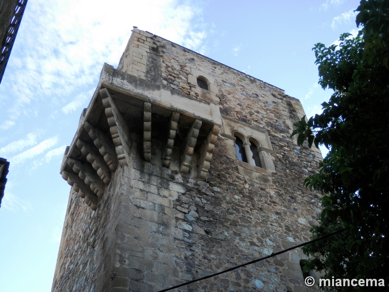 Imagen de Torre de Espaderos