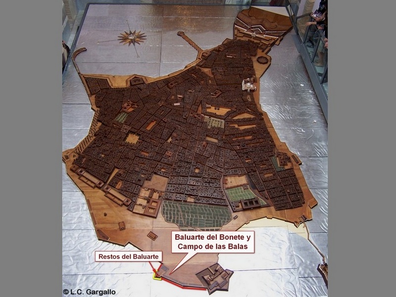 Imagen de Baluarte del Bonete