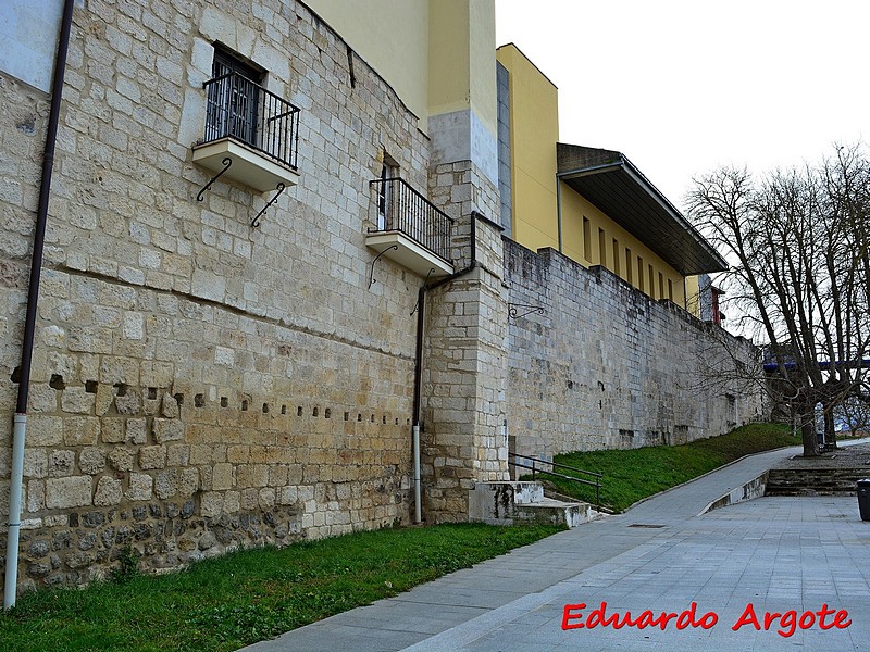 Muralla urbana de Salvatierra