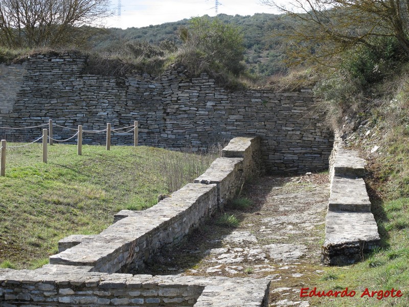 Iruña Veleia