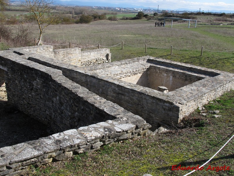 Iruña Veleia