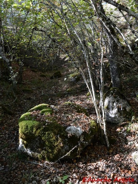 Castillo de Urizaharra