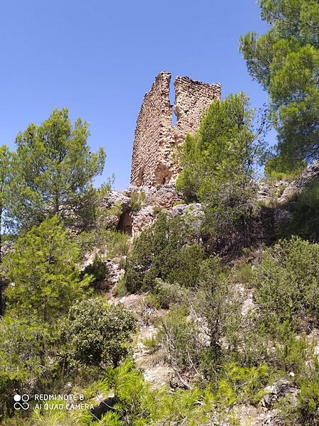 Torre de los Torrepedro