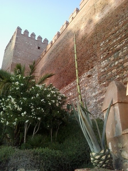 Alcazaba de Almería