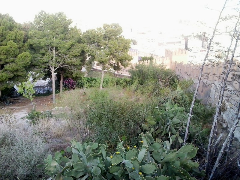 Alcazaba de Almería