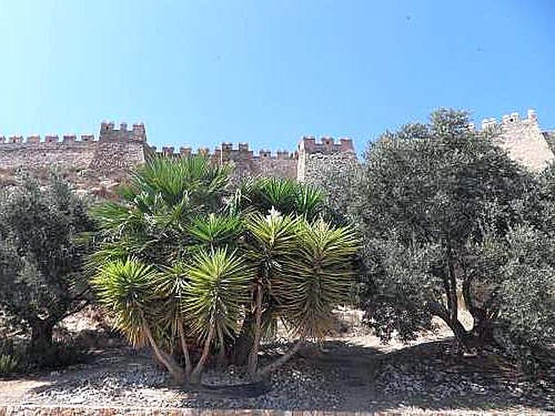 Alcazaba de Almería