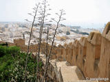 Alcazaba de Almería