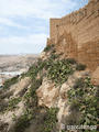 Alcazaba de Almería