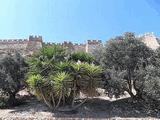 Alcazaba de Almería