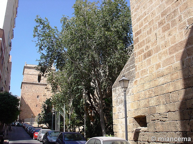 Catedral de Nuestra Señora de la Encarnación