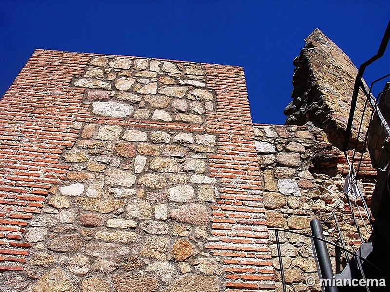 Castillo de La Adrada