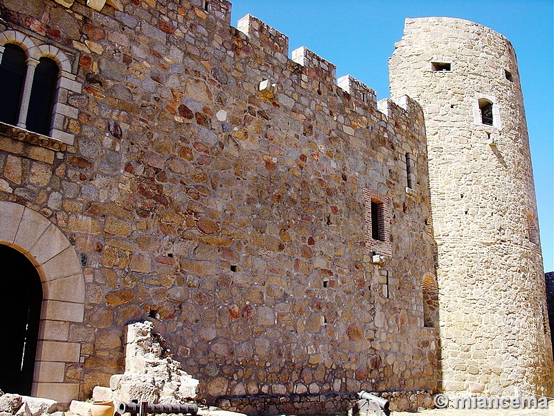 Castillo de La Adrada