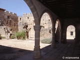 Castillo de La Adrada