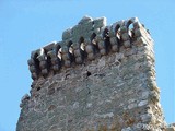 Castillo de Serranos de la Torre