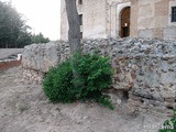 Castillo de Madrigal de las Altas Torres