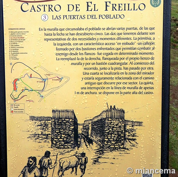 Castro de El Freíllo