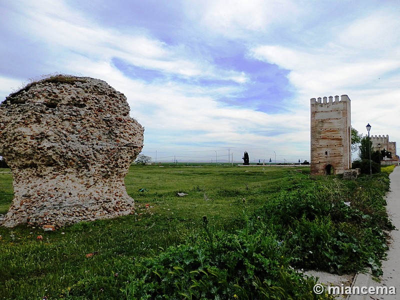 Muralla urbana de Madrigal de las Altas Torres