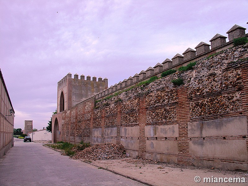 Muralla urbana de Madrigal de las Altas Torres