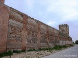 Muralla urbana de Madrigal de las Altas Torres