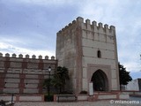 Muralla urbana de Madrigal de las Altas Torres