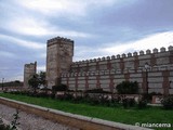 Muralla urbana de Madrigal de las Altas Torres