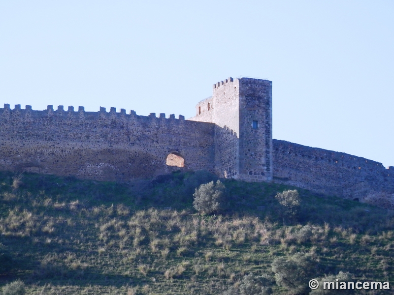 Castillo de Medellín