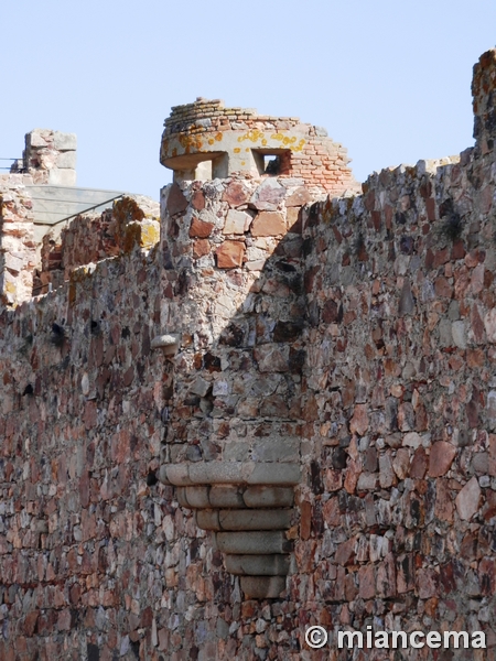 Castillo de Medellín