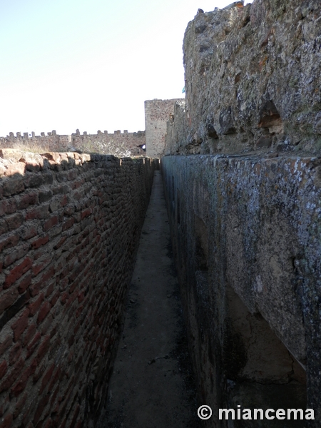 Castillo de Medellín