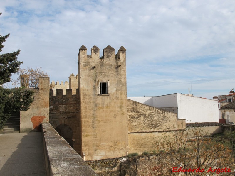 Torre de la Puerta del Capitel