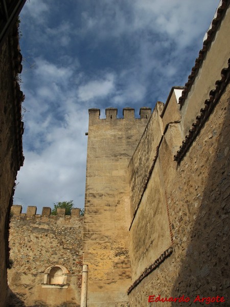 Torre de la Puerta del Capitel