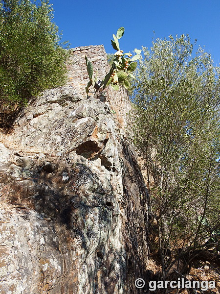 Castillo de Mayorga