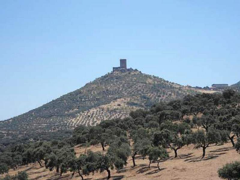 Castillo de Feria