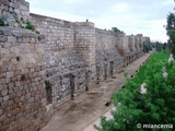 Alcazaba de Mérida