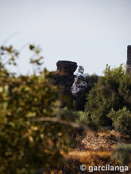 Castillo de La Beltraneja