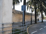 Semibaluarte de la Puerta de Palmas