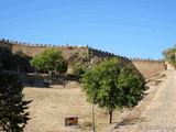 Muralla urbana de Alburquerque