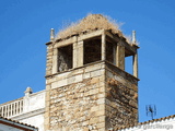 Muralla urbana de Alburquerque