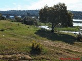 Puente de Ayuda