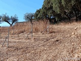 Polvorín y Cuerpo de Guardia del Cerro de San Blas