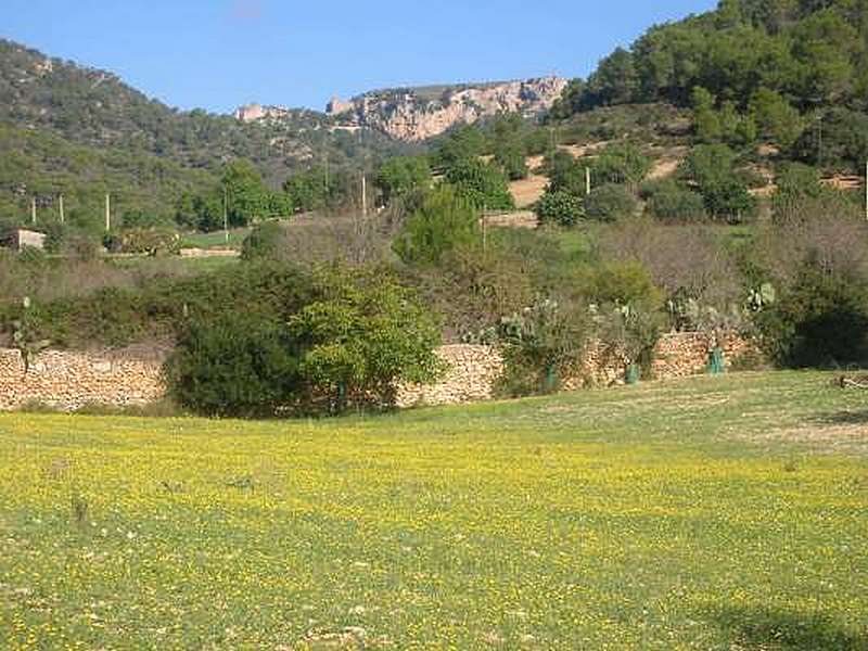 Castillo del Santueri