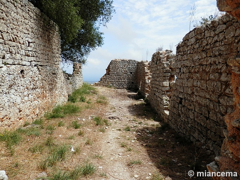 Castillo del Santueri