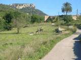 Castillo del Santueri