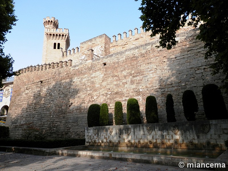 Palacio de la Almudaina